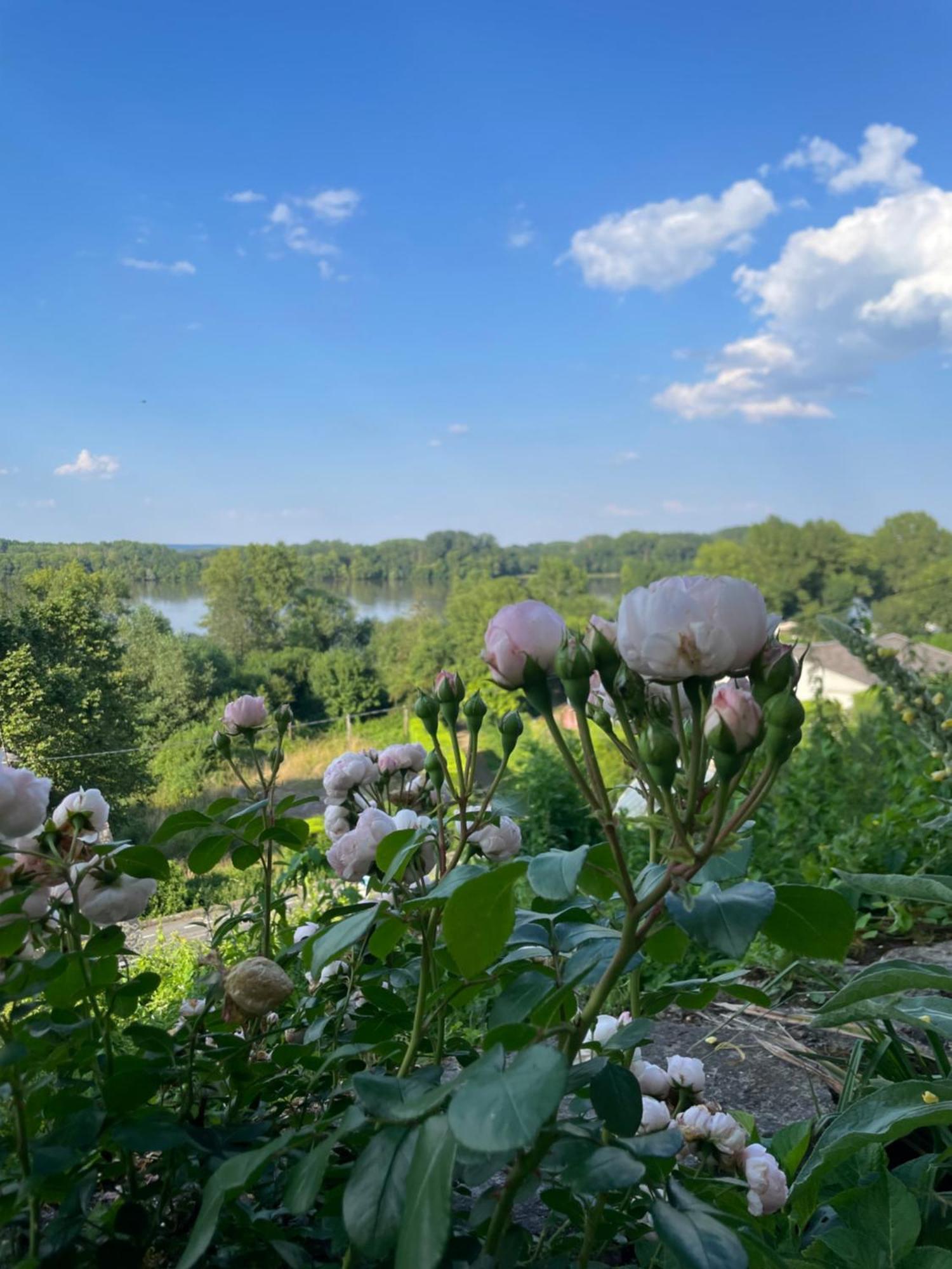 Gite Des Perreyeurs - Maison Troglodyte Avec Vue Sur Loire Montsoreau Eksteriør bilde